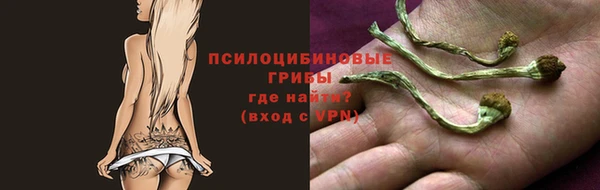2c-b Медногорск