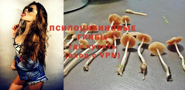 ALPHA PVP Мегион