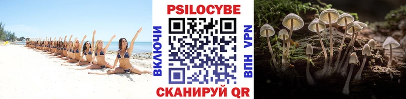 Псилоцибиновые грибы GOLDEN TEACHER Нижняя Тура
