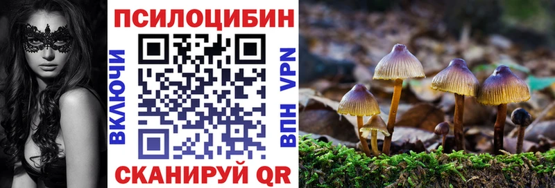 купить наркотик  KRAKEN   Галлюциногенные грибы GOLDEN TEACHER  Нижняя Тура 